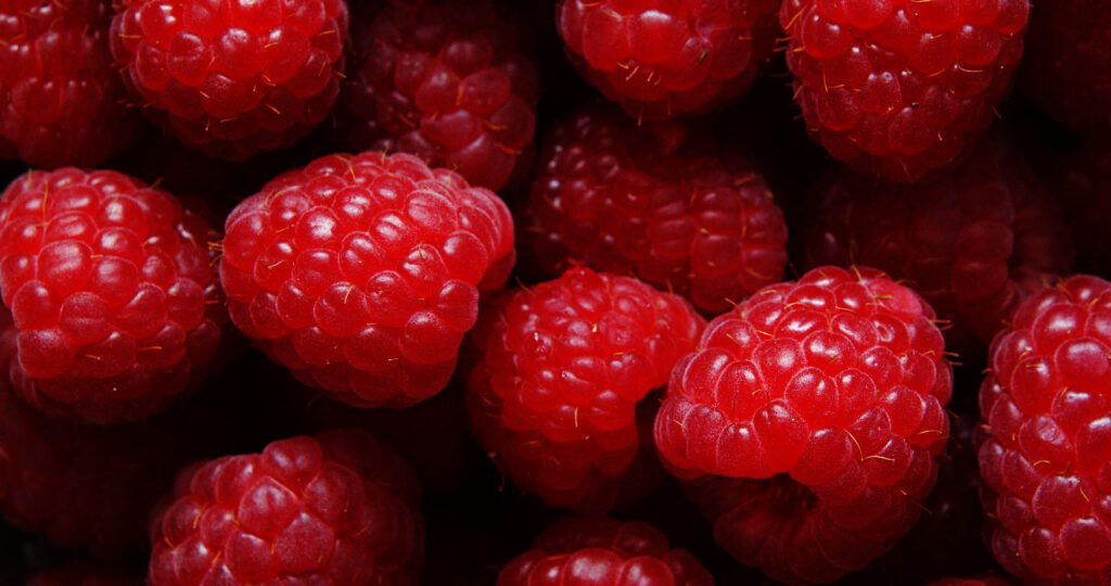 Food Test_2.16.2